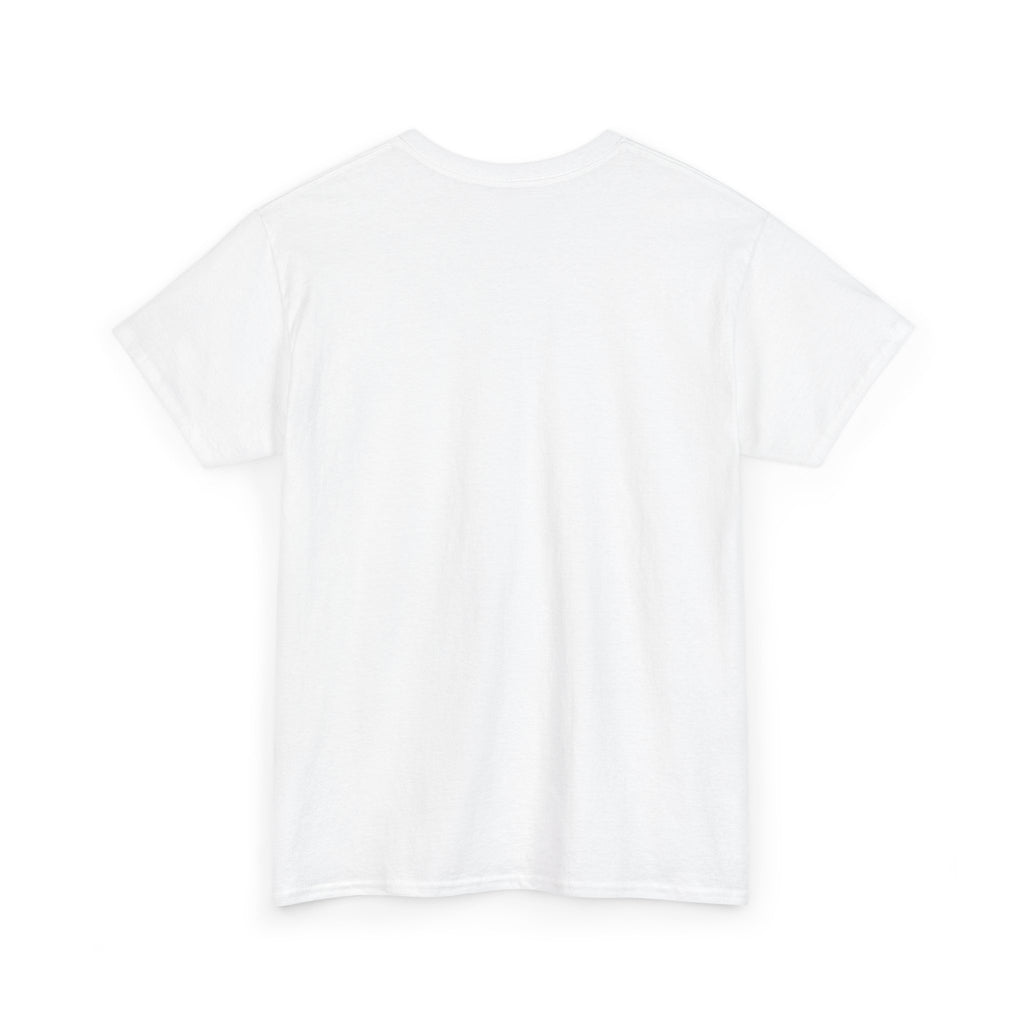 I Don't Match Energy I Set the Temperature T-Shirt | Fire and Ice Graphic Tee