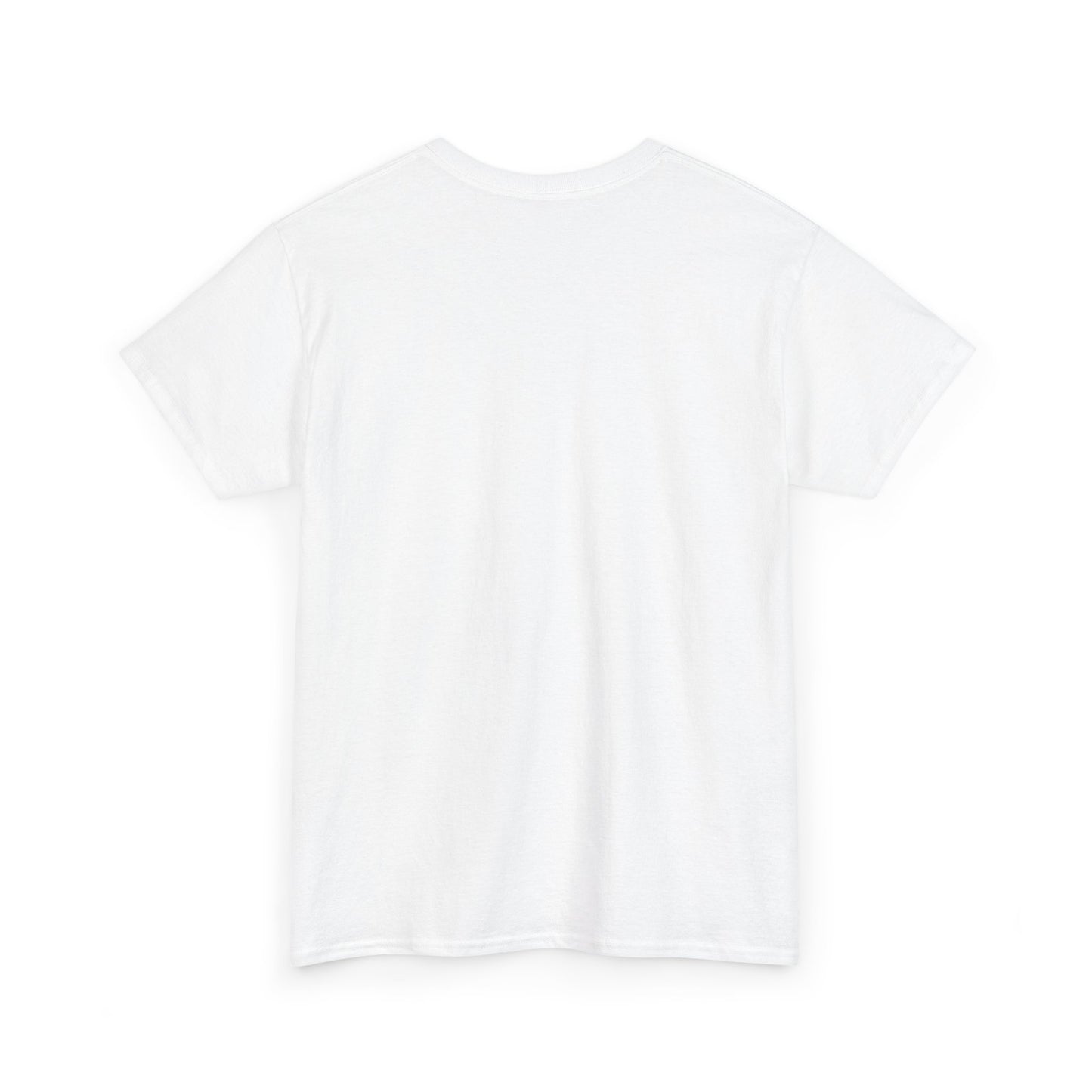 I Don't Match Energy I Set the Temperature T-Shirt | Fire and Ice Graphic Tee