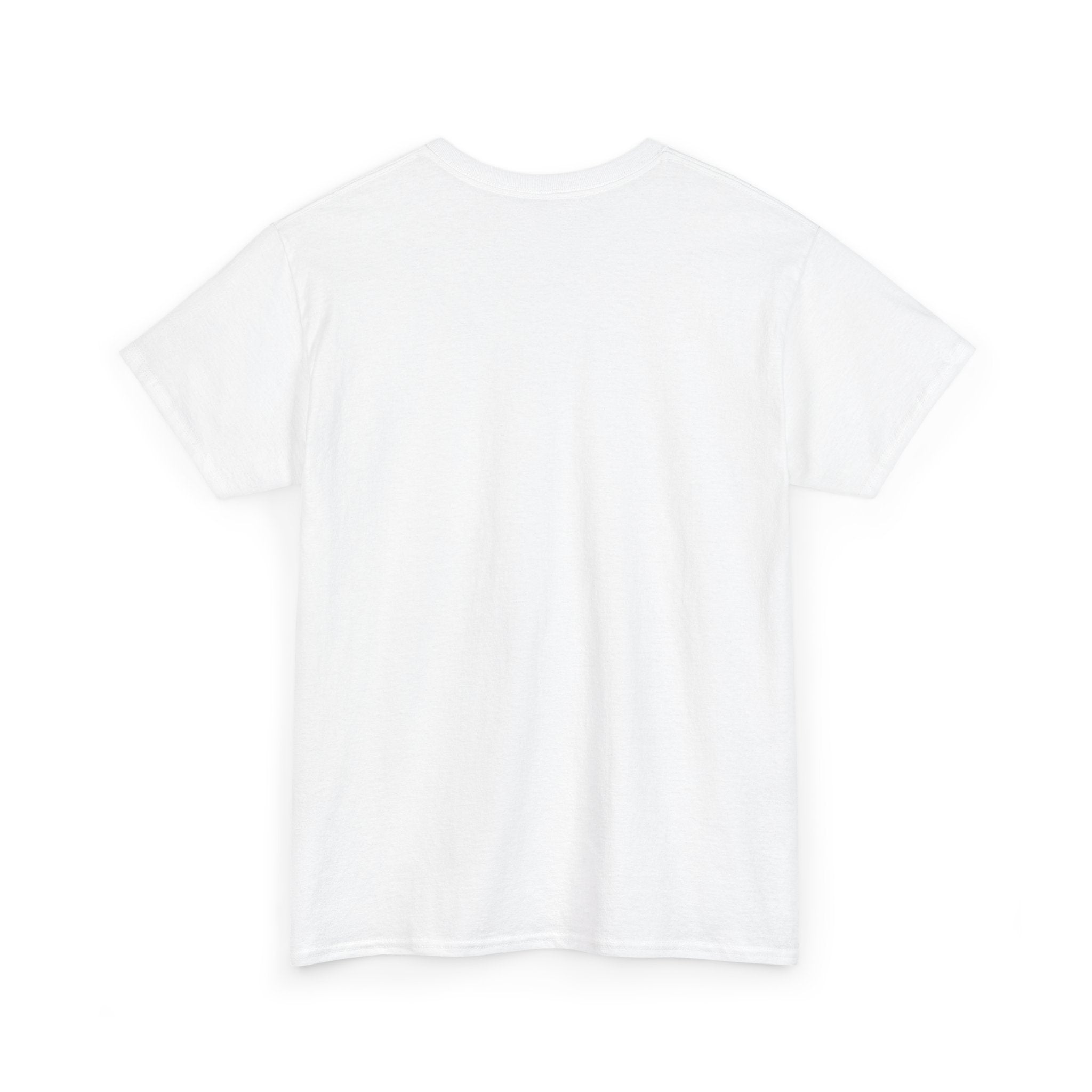 I Don't Match Energy I Set the Temperature T-Shirt | Fire and Ice Graphic Tee