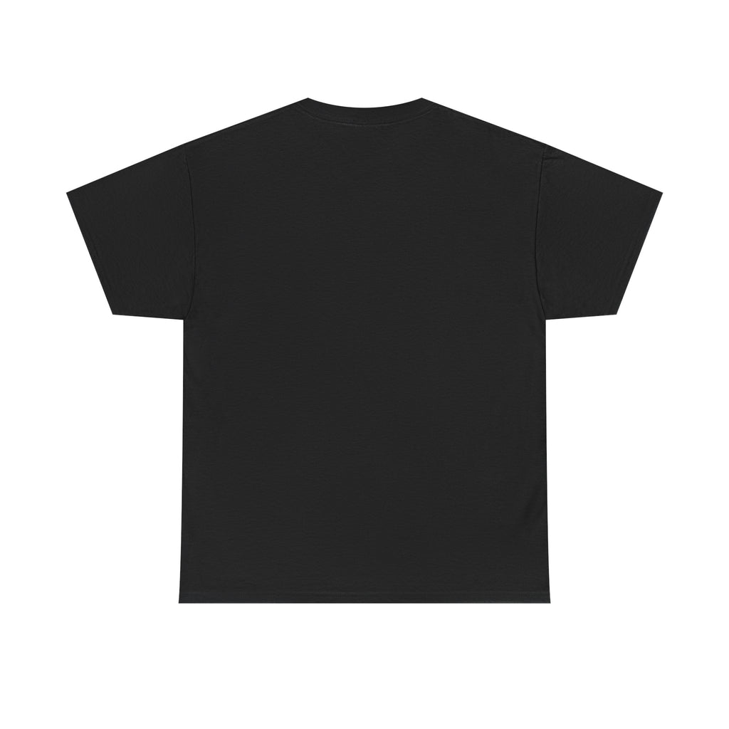 I Don't Match Energy I Set the Temperature T-Shirt | Fire and Ice Graphic Tee