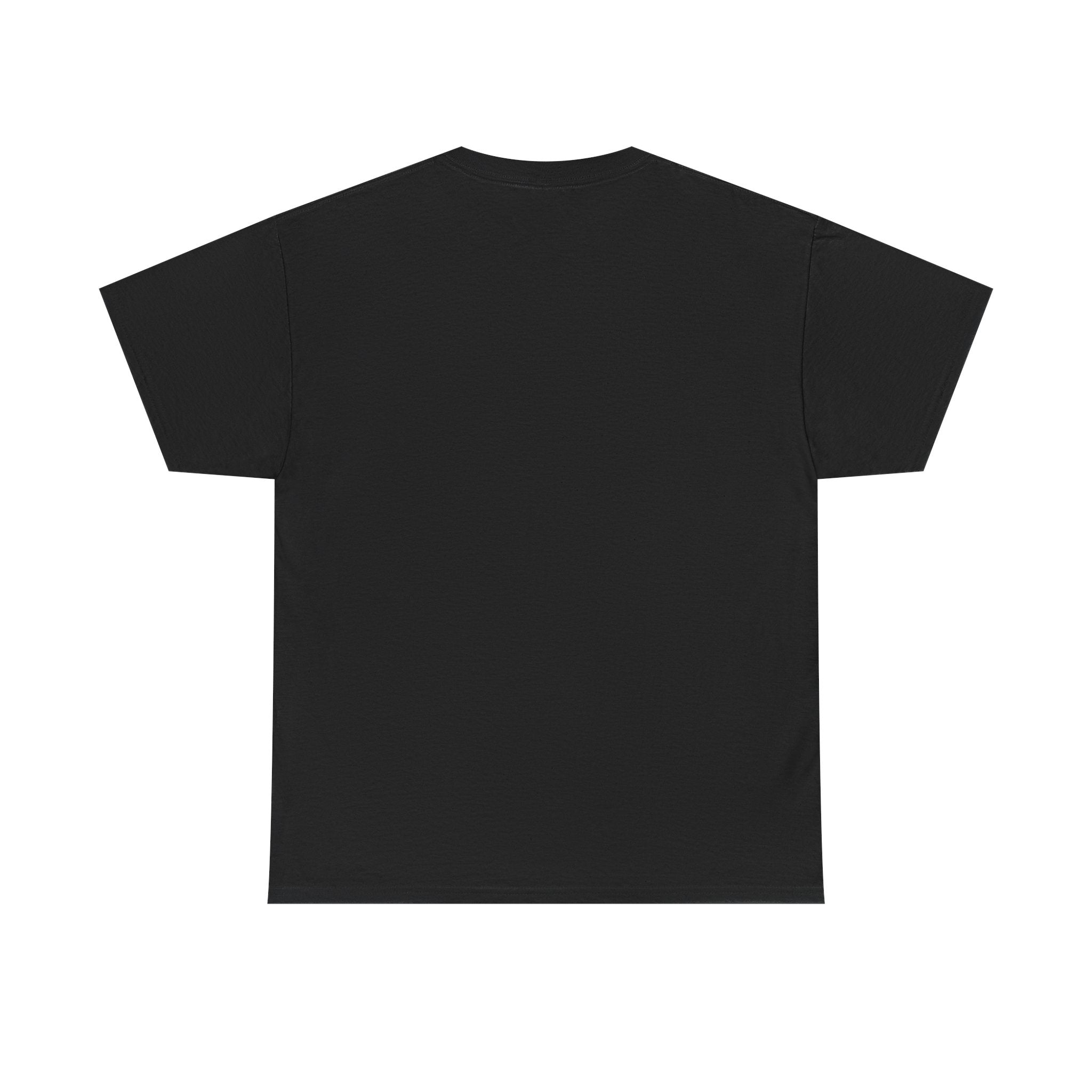 I Don't Match Energy I Set the Temperature T-Shirt | Fire and Ice Graphic Tee