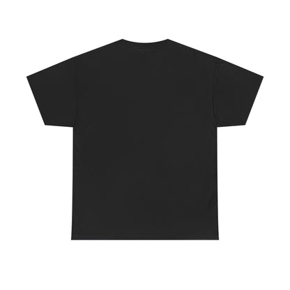 I Don't Match Energy I Set the Temperature T-Shirt | Fire and Ice Graphic Tee