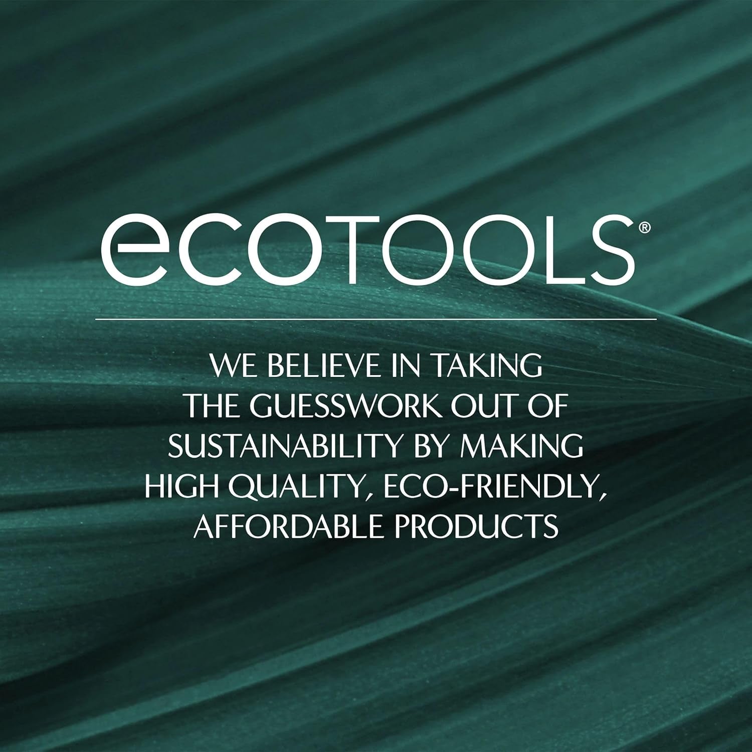 Daily Defined Eye Brush Kit, Makeup Brushes, 5 Piece Set | Eye Brushes for Liquid, Powder, and Cream Eyeshadow and Eyeliner Application, Synthetic Hair, Cruelty-Free