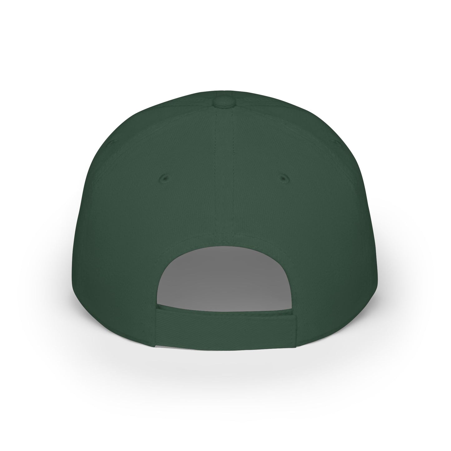 Discipline Over Feelings Hat
