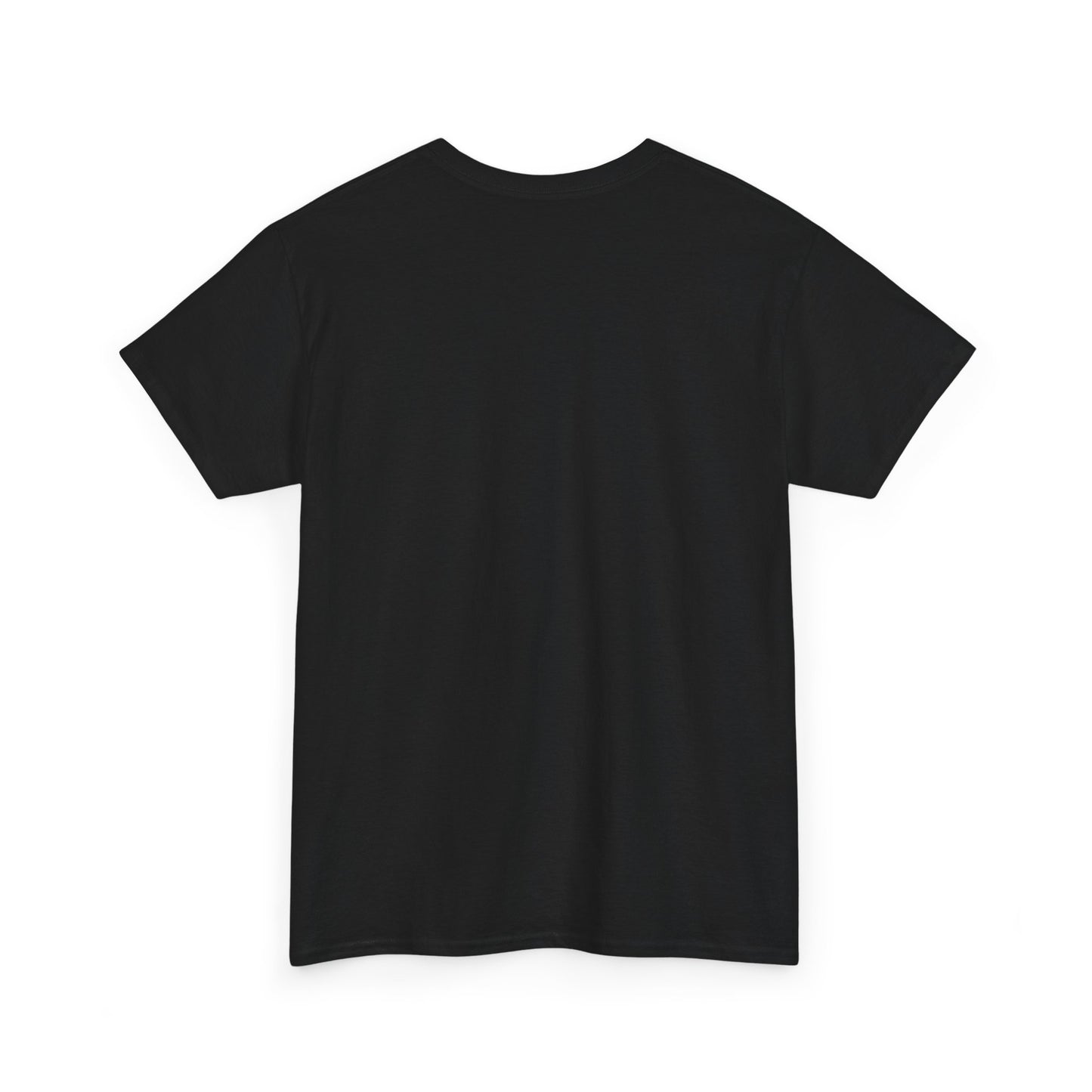 I Don't Match Energy I Set the Temperature T-Shirt | Fire and Ice Graphic Tee