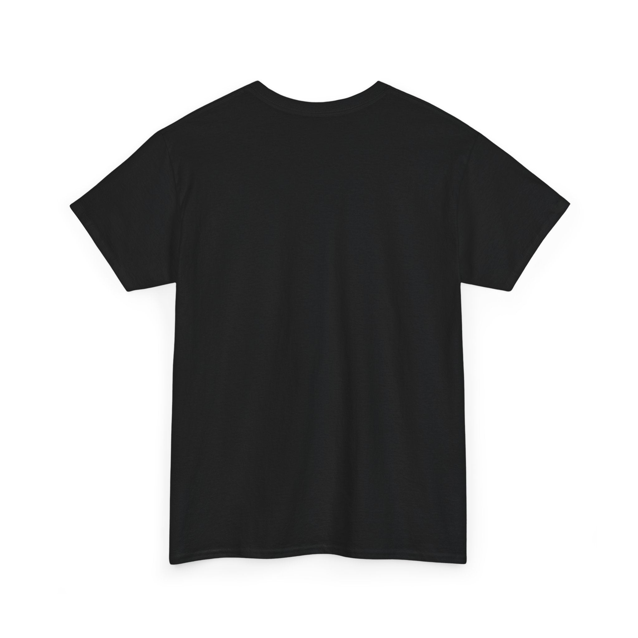 I Don't Match Energy I Set the Temperature T-Shirt | Fire and Ice Graphic Tee