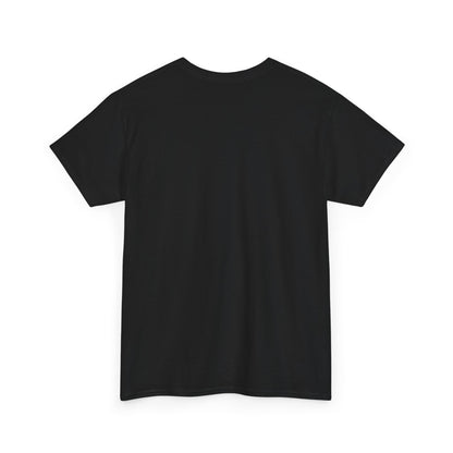 I Don't Match Energy I Set the Temperature T-Shirt | Fire and Ice Graphic Tee